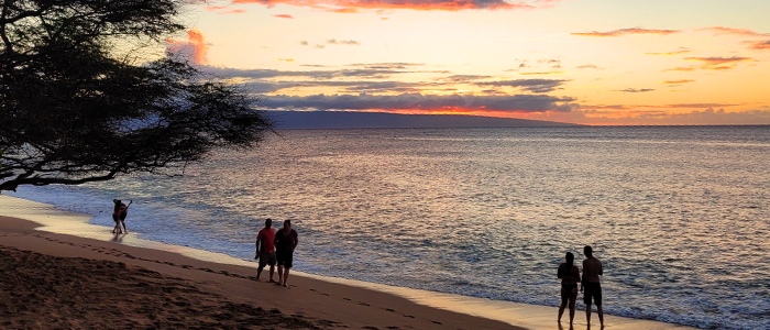 Maui Real Estate